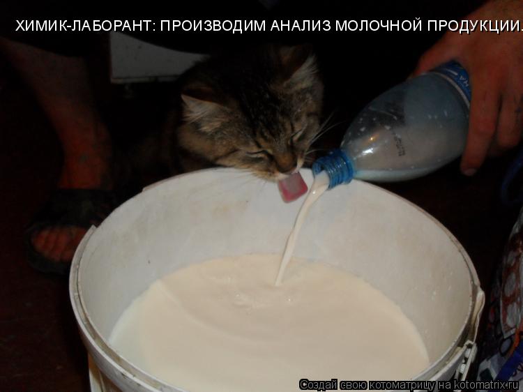 Котоматрица: ХИМИК-ЛАБОРАНТ: ПРОИЗВОДИМ АНАЛИЗ МОЛОЧНОЙ ПРОДУКЦИИ.