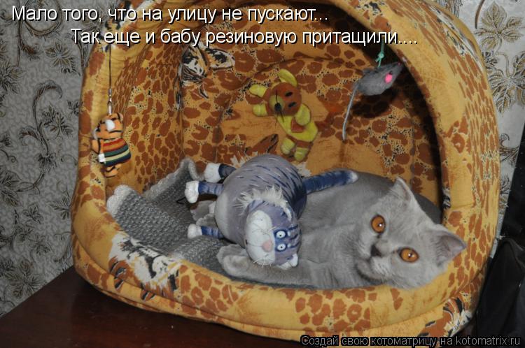 Котоматрица: Мало того, что на улицу не пускают... Так еще и бабу резиновую притащили....