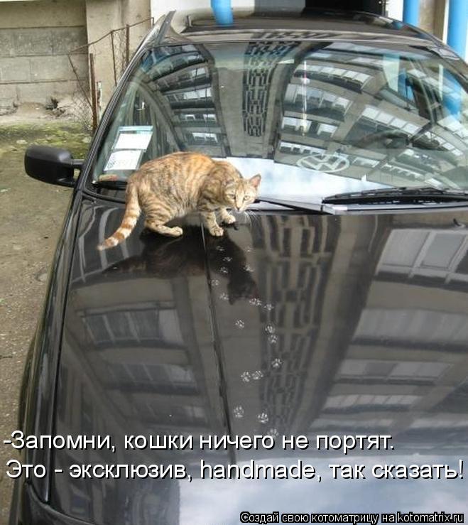 Котоматрица: -Запомни, кошки ничего не портят. Это - эксклюзив, handmade, так сказать!