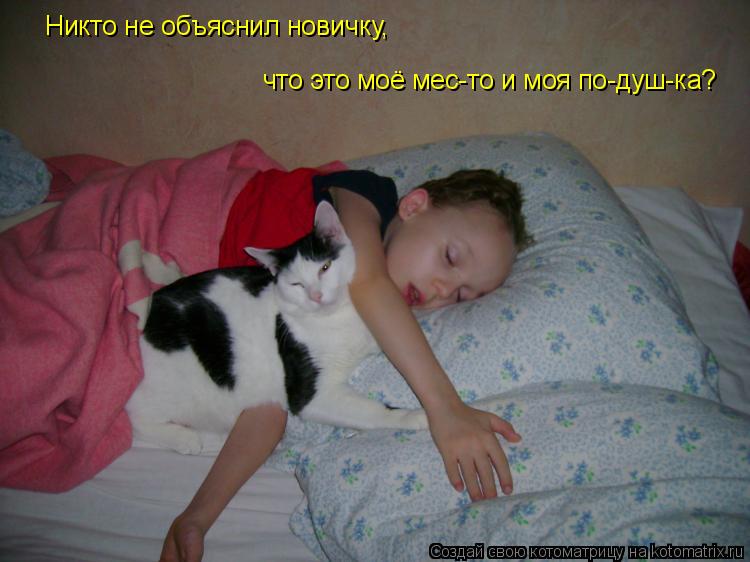 Котоматрица: Никто не объяснил новичку, что это моё мес-то и моя по-душ-ка?