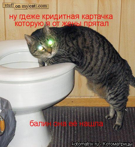 ну гдеже кридитная картачка которую я от жены прятал балин она её нашла... Котоматрица: ну гдеже кридитная картачка которую я от жены прятал балин она её нашла
