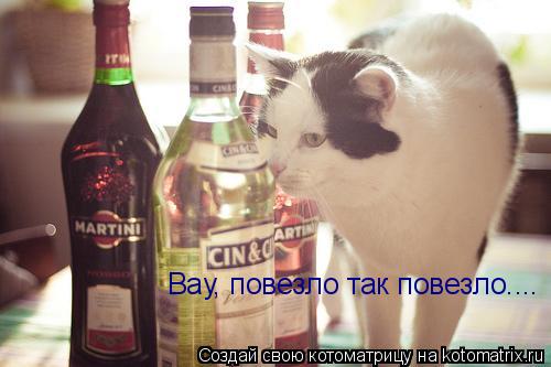 Вау, повезло так повезло....... Котоматрица: Вау, повезло так повезло....