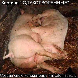 Картина " ОДУХОТВОРЕННЫЕ"... Котоматрица: Картина " ОДУХОТВОРЕННЫЕ"