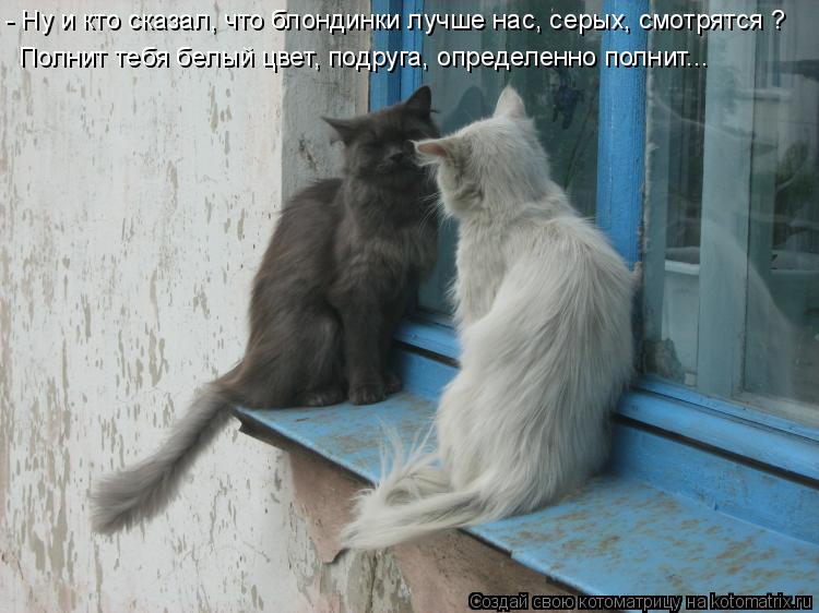 - Ну и кто сказал, что блондинки лучше нас, серых, смотрятся ? Полнит тебя белый цвет, подруга, опред... Котоматрица: - Ну и кто сказал, что блондинки лучше нас, серых, смотрятся ? Полнит тебя белый цвет, подруга, определенно полнит...
