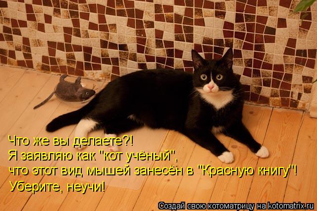 Что же вы делаете?! Я заявляю как "кот учёный", что этот вид мышей занесён в "Красную книгу"! Уберите... Котоматрица: Что же вы делаете?! Я заявляю как "кот учёный", что этот вид мышей занесён в "Красную книгу"! Уберите, неучи!