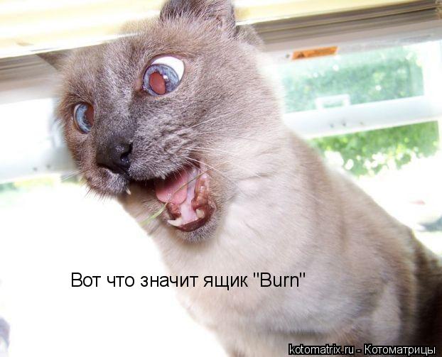 Вот что значит ящик "Burn"... Котоматрица: Вот что значит ящик "Burn"