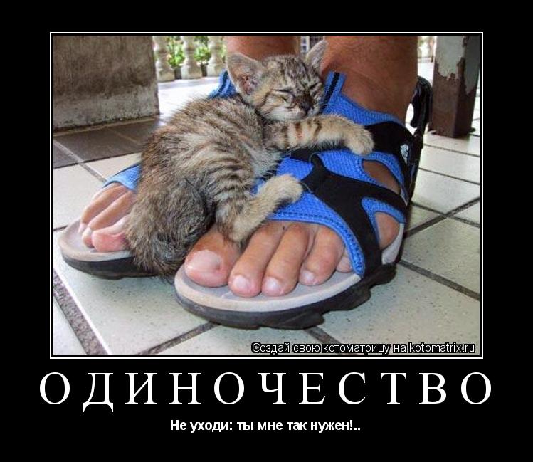 Одиночество Не уходи: ты мне так нужен!..... Котоматрица: Одиночество Не уходи: ты мне так нужен!..
