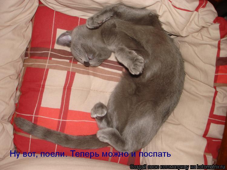 Ну вот, поели. Теперь можно и поспать... Котоматрица: Ну вот, поели. Теперь можно и поспать