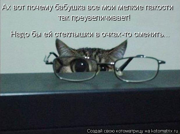Котоматрица: Ах вот почему бабушка все мои мелкие пакости так преувеличивает! Надо бы ей стеклышки в очках-то сменить...