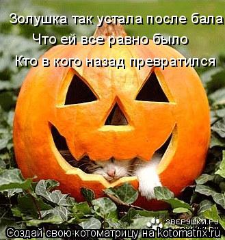 Золушка так устала после бала Что ей все равно было Кто в кого назад превратился... Котоматрица: Золушка так устала после бала Что ей все равно было Кто в кого назад превратился