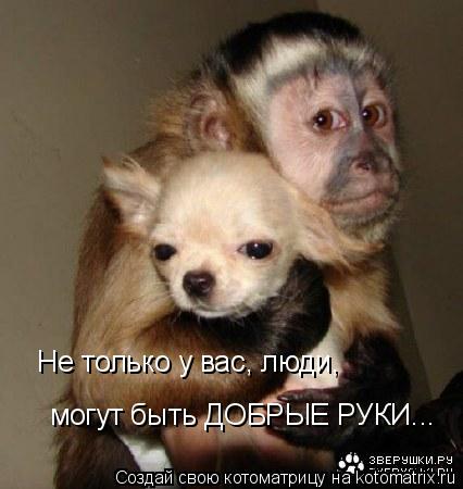 Не только у вас, люди, могут быть ДОБРЫЕ РУКИ...... Котоматрица: Не только у вас, люди, могут быть ДОБРЫЕ РУКИ...