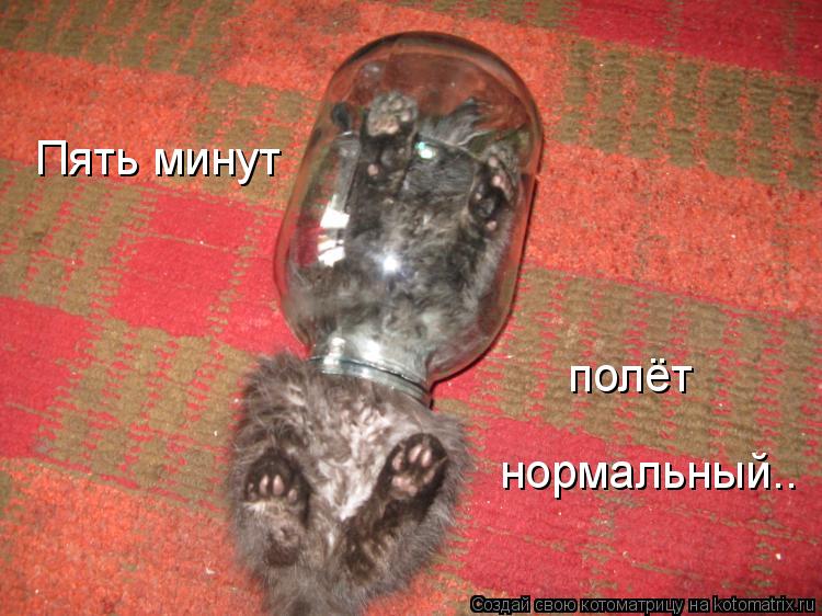 Пять минут полёт нормальный..... Котоматрица: Пять минут полёт нормальный..