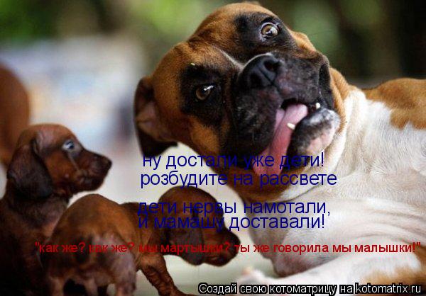 ну достали уже дети! розбудите на рассвете дети нервы намотали, и мамашу доставали! "как же? как же?... Котоматрица: ну достали уже дети! розбудите на рассвете дети нервы намотали, и мамашу доставали! "как же? как же? мы мартышки? ты же говорила мы малышки!"