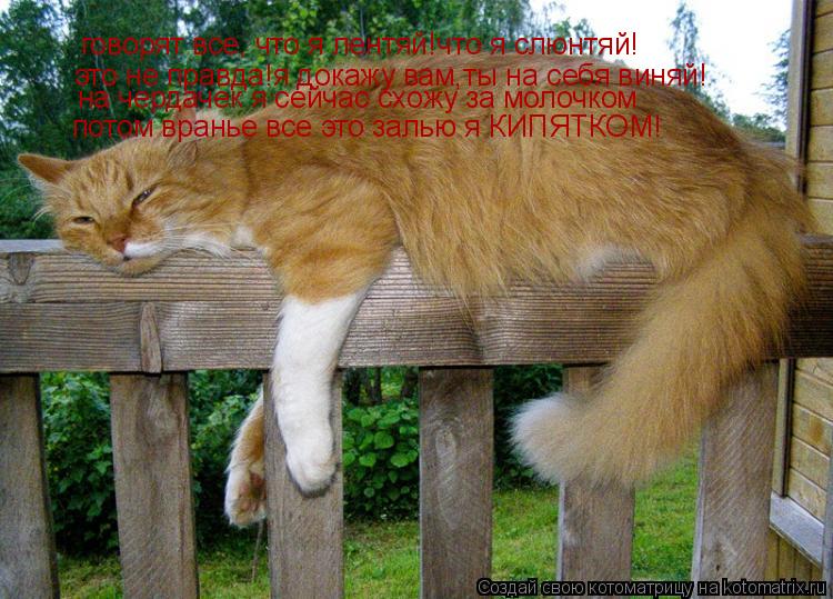 говорят все, что я лентяй!что я слюнтяй! это не правда!я докажу вам,ты на себя виняй! на чердачек я с... Котоматрица: говорят все, что я лентяй!что я слюнтяй! это не правда!я докажу вам,ты на себя виняй! на чердачек я сейчас схожу за молочком потом вранье все э