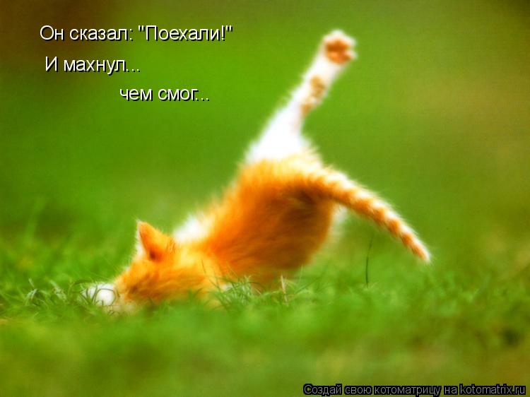 Он сказал: "Поехали!" И махнул... чем смог...... Котоматрица: Он сказал: "Поехали!" И махнул... чем смог...