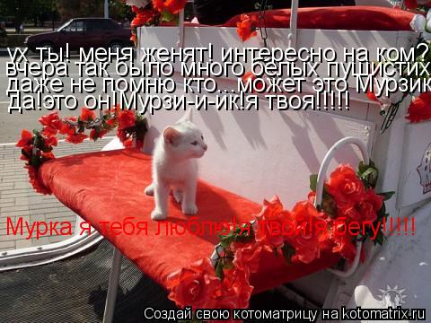 ух ты! меня женят! интересно на ком? вчера так было много белых пушистих даже не помню кто...может эт... Котоматрица: ух ты! меня женят! интересно на ком? вчера так было много белых пушистих даже не помню кто...может это Мурзик да!это он!Мурзи-и-ик!я твоя!!!!! Мур