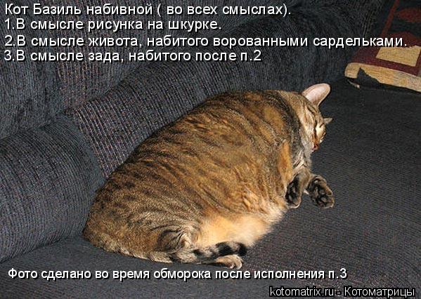 Котоматрица: 2.В смысле живота, набитого ворованными сардельками. Кот Базиль набивной ( во всех смыслах). 1.В смысле рисунка на шкурке. 3.В смысле зада, наби