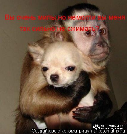 Вы очень милы,но немогли вы меня так сильно не сжимать?... Котоматрица: Вы очень милы,но немогли вы меня так сильно не сжимать?