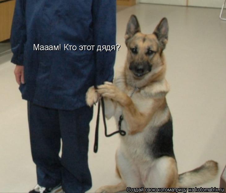 Мааам! Кто этот дядя?... Котоматрица: Мааам! Кто этот дядя?