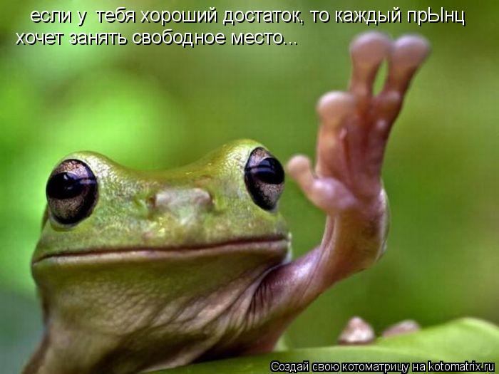 если у тебя хороший достаток, то каждый прЫнц хочет занять свободное место...... Котоматрица: если у тебя хороший достаток, то каждый прЫнц хочет занять свободное место...