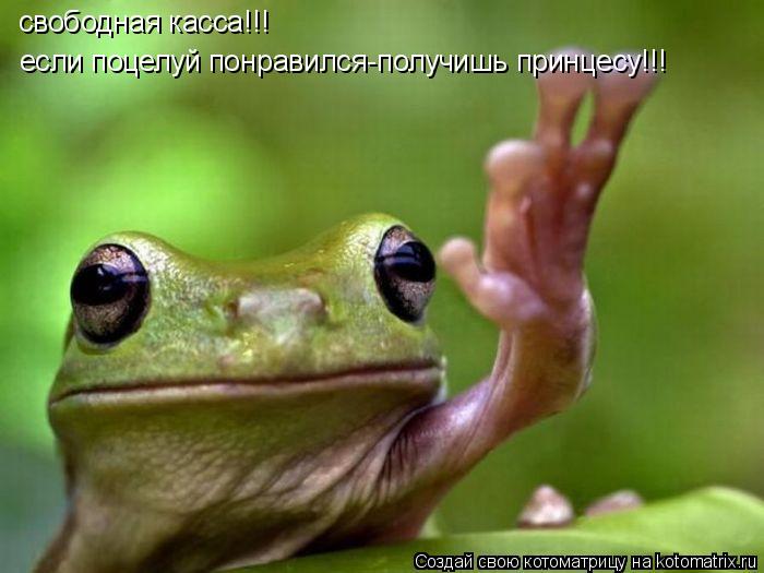 свободная касса!!! если поцелуй понравился-получишь принцесу!!!... Котоматрица: свободная касса!!! если поцелуй понравился-получишь принцесу!!!