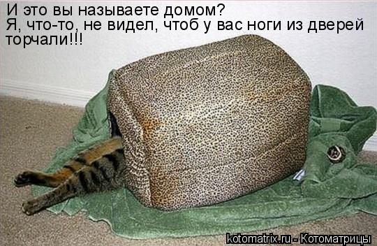 И это вы называете домом? Я, что-то, не видел, чтоб у вас ноги из дверей торчали!!!... Котоматрица: И это вы называете домом? Я, что-то, не видел, чтоб у вас ноги из дверей торчали!!!