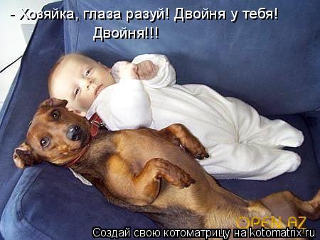 - Хозяйка, глаза разуй! Двойня у тебя! Двойня!!!... Котоматрица: - Хозяйка, глаза разуй! Двойня у тебя! Двойня!!!