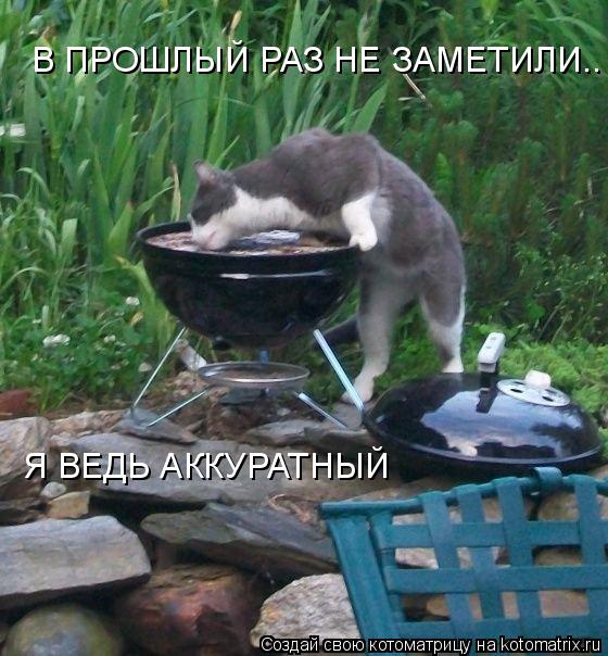 В ПРОШЛЫЙ РАЗ НЕ ЗАМЕТИЛИ.. Я ВЕДЬ АККУРАТНЫЙ... Котоматрица: В ПРОШЛЫЙ РАЗ НЕ ЗАМЕТИЛИ.. Я ВЕДЬ АККУРАТНЫЙ