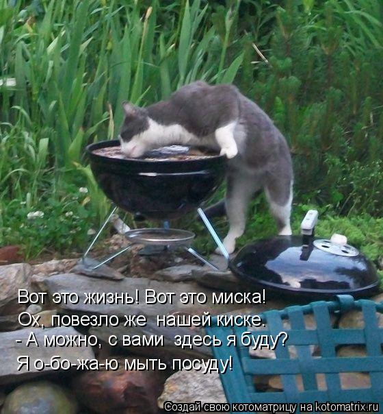 Вот это жизнь! Вот это миска! Ох, повезло же нашей киске. - А можно, с вами здесь я буду? Я о-бо-жа... Котоматрица: Вот это жизнь! Вот это миска! Ох, повезло же нашей киске. - А можно, с вами здесь я буду? Я о-бо-жа-ю мыть посуду!