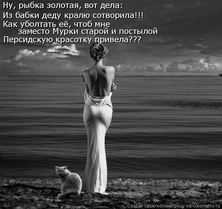 Ну, рыбка золотая, вот дела: Из бабки деду кралю сотворила!!! Как уболтать её, чтоб мне Персидскую к... Котоматрица: Ну, рыбка золотая, вот дела: Из бабки деду кралю сотворила!!! Как уболтать её, чтоб мне Персидскую красотку привела??? заместо Мурки старой и