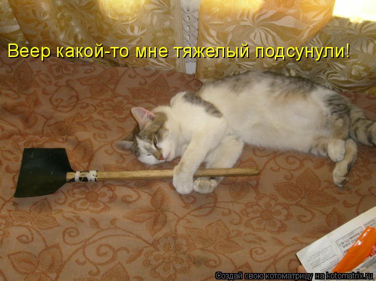 Веер какой-то мне тяжелый подсунули!... Котоматрица: Веер какой-то мне тяжелый подсунули!