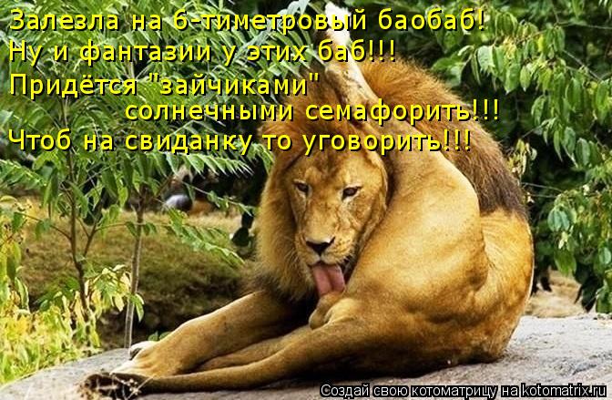 Залезла на 6-тиметровый баобаб! Ну и фантазии у этих баб!!! Придётся "зайчиками" солнечными семафори... Котоматрица: Залезла на 6-тиметровый баобаб! Ну и фантазии у этих баб!!! Придётся "зайчиками" солнечными семафорить!!! Чтоб на свиданку то уговорить!!!