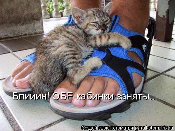 Котоматрица: Блииин! ОБЕ кабинки заняты...