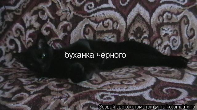 буханка черного... Котоматрица: буханка черного
