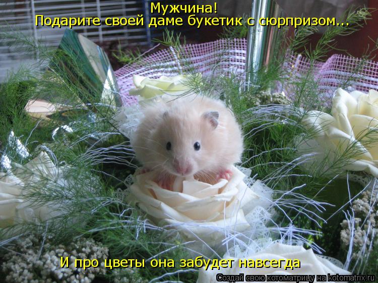 Мужчина! Подарите своей даме букетик с сюрпризом... И про цветы она забудет навсегда... Котоматрица: Мужчина! Подарите своей даме букетик с сюрпризом... И про цветы она забудет навсегда