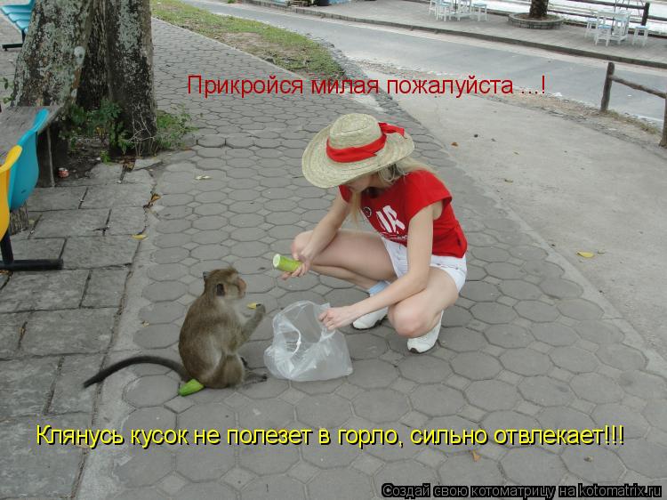 Прикройся милая пожалуйста ...! Клянусь кусок не полезет в горло, сильно отвлекает!!!... Котоматрица: Прикройся милая пожалуйста ...! Клянусь кусок не полезет в горло, сильно отвлекает!!!