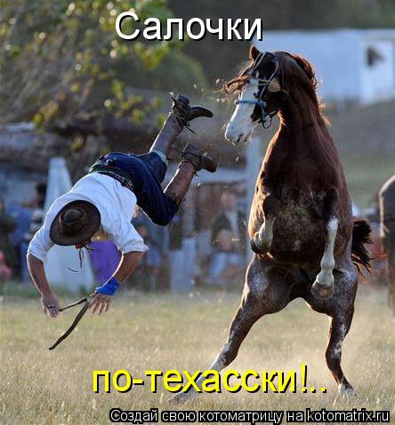 Салочки по-техасски!..... Котоматрица: Салочки по-техасски!..