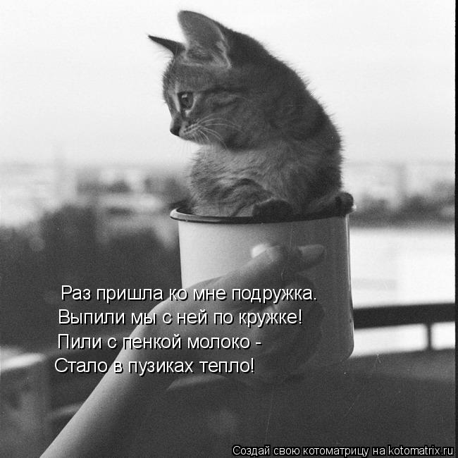 Раз пришла ко мне подружка. Выпили мы с ней по кружке! Пили с пенкой молоко - Стало в пузиках тепло!... Котоматрица: Раз пришла ко мне подружка. Выпили мы с ней по кружке! Пили с пенкой молоко - Стало в пузиках тепло!