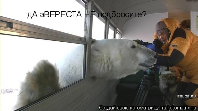 дА эВЕРЕСТА НЕ подбросите?... Котоматрица: дА эВЕРЕСТА НЕ подбросите?