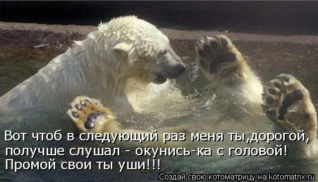 Вот чтоб в следующий раз меня ты,дорогой, получше слушал - окунись-ка с головой! Промой свои ты уши!!... Котоматрица: Вот чтоб в следующий раз меня ты,дорогой, получше слушал - окунись-ка с головой! Промой свои ты уши!!!