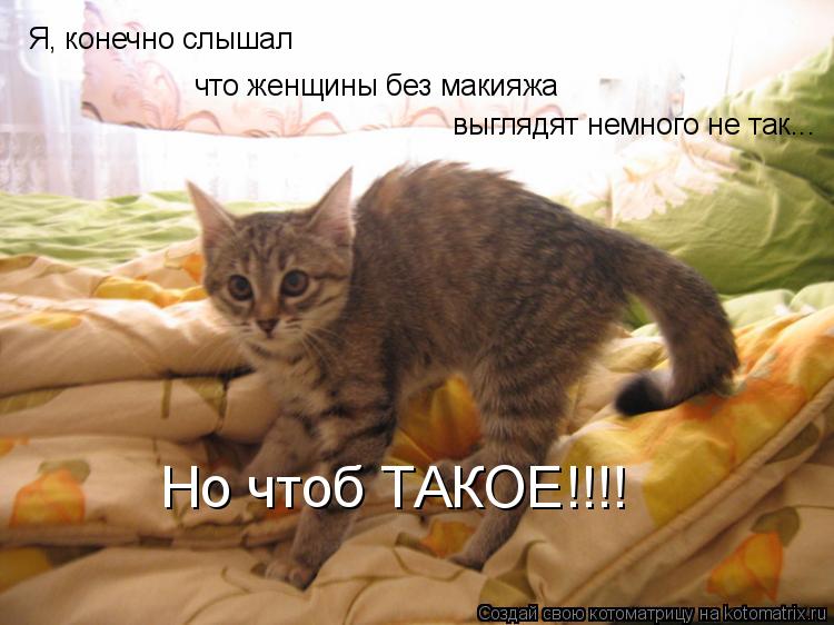 Я, конечно слышал что женщины без макияжа выглядят немного не так... Но чтоб ТАКОЕ!!!!... Котоматрица: Я, конечно слышал что женщины без макияжа выглядят немного не так... Но чтоб ТАКОЕ!!!!