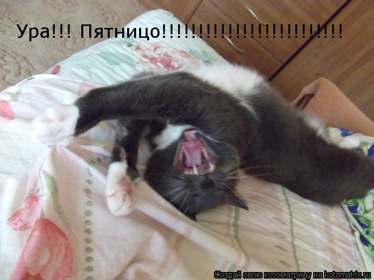 Ура!!! Пятницо!!!!!!!!!!!!!!!!!!!!!!!!!... Котоматрица: Ура!!! Пятницо!!!!!!!!!!!!!!!!!!!!!!!!!