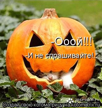 -Ооой!!! -И не спрашивайте!..... Котоматрица: -Ооой!!! -И не спрашивайте!..