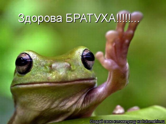 Здорова БРАТУХА!!!!!...... Котоматрица: Здорова БРАТУХА!!!!!...