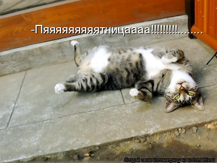 -Пяяяяяяяяятницаааа!!!!!!!!!........... Котоматрица: -Пяяяяяяяяятницаааа!!!!!!!!!........