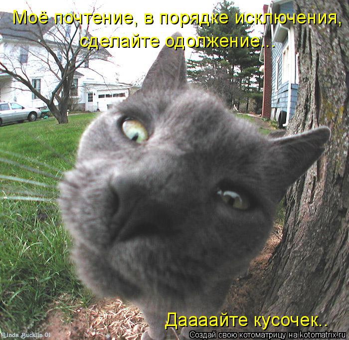 сделайте одолжение... Моё почтение, в порядке исключения, Даааайте кусочек..... Котоматрица: сделайте одолжение... Моё почтение, в порядке исключения, Даааайте кусочек..