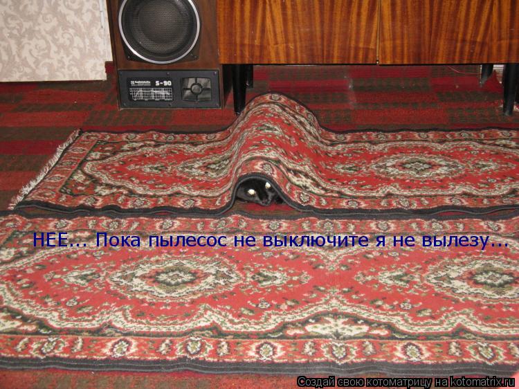 НЕЕ... Пока пылесос не выключите я не вылезу...... Котоматрица: НЕЕ... Пока пылесос не выключите я не вылезу...