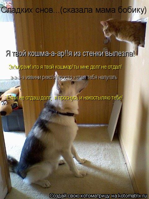 Я твой кошма-а-ар!!я из стенки вылезла! Эх!мурзик!это я твой кошмар!ты мне долг не отдал! э-э-э-э изв... Котоматрица: Я твой кошма-а-ар!!я из стенки вылезла! Эх!мурзик!это я твой кошмар!ты мне долг не отдал! э-э-э-э извини рекс!я просто хотел тебя напугать Если н