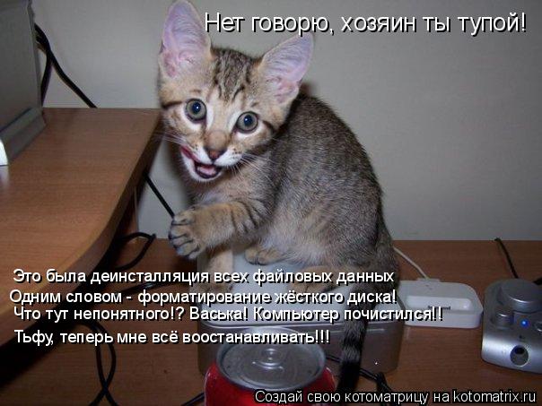 Нет говорю, хозяин ты тупой! Это была деинсталляция всех файловых данных Одним словом - форматировани... Котоматрица: Нет говорю, хозяин ты тупой! Это была деинсталляция всех файловых данных Одним словом - форматирование жёсткого диска! Тьфу, теперь мне всё