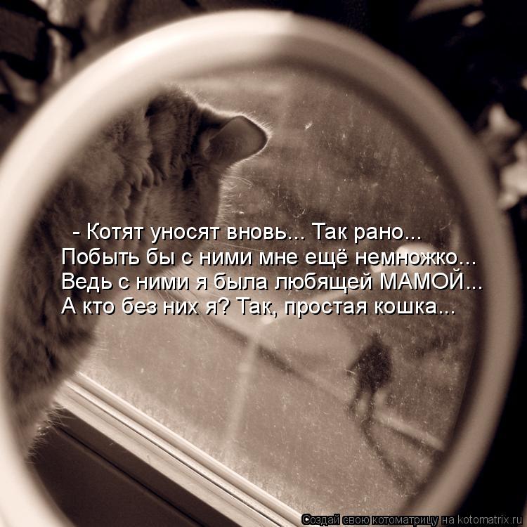 - Котят уносят вновь... Так рано... Побыть бы с ними мне ещё немножко... Ведь с ними я была любящей М... Котоматрица: - Котят уносят вновь... Так рано... Побыть бы с ними мне ещё немножко... Ведь с ними я была любящей МАМОЙ... А кто без них я? Так, простая кошка...
